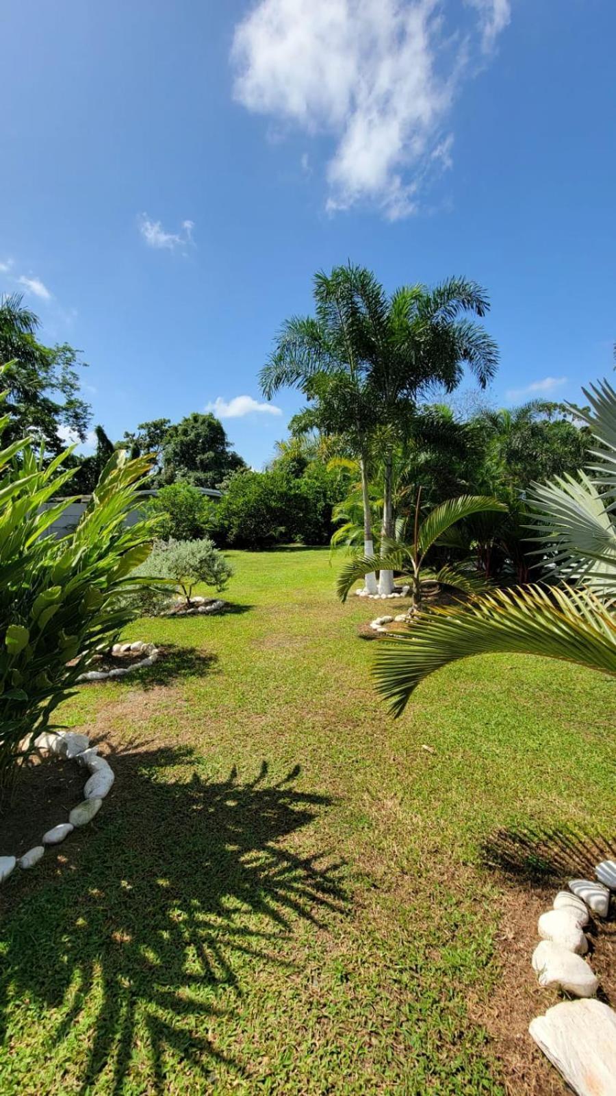 Hotel Campestre Arenal ラ・フォルトゥナ エクステリア 写真